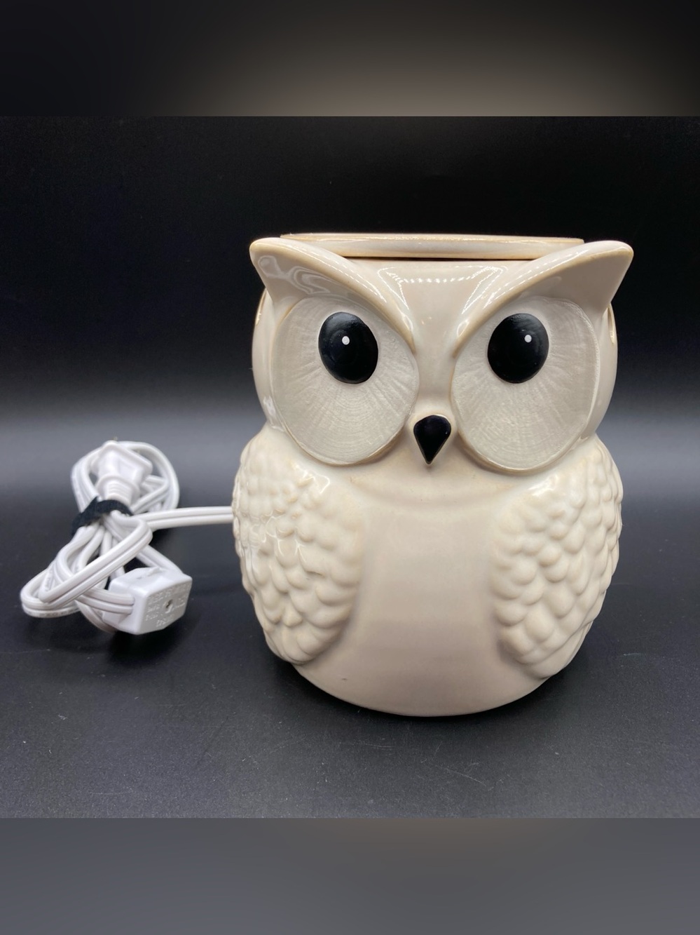 ScentSationals Intertek Light Up Owl Ceramic Wax Warmer Lamp Night Light 6" Tall